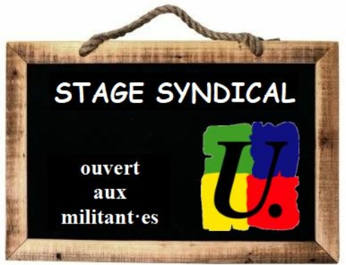 Stage Educ FSU35 : Agir en établissement -1