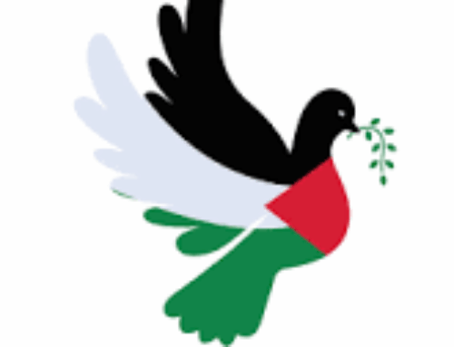 Marche aux flambeaux pour un vrai cessez le feu à Gaza – 11 février 2026