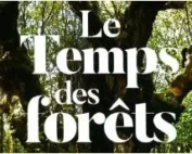 Cine debat Le temps des forets 12juin26