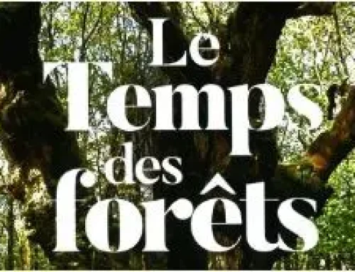 Ciné débat au cinéma Arvor Rennes – vendredi 12 juin à 20h : Le temps des forets