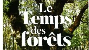 Cine debat Le temps des forets 12juin26
